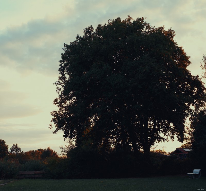 2025-08 Rhodes - DSC06698