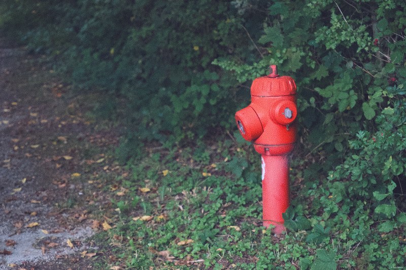 2025-08 Rhodes - DSC06704