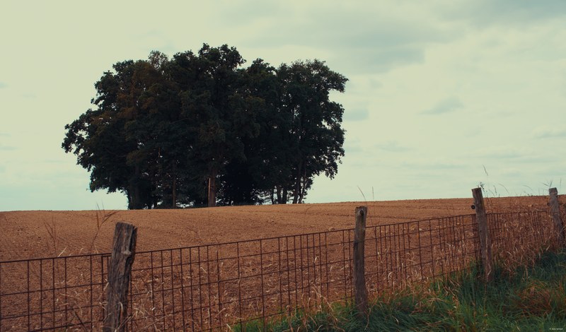 2025-08 Rhodes - DSC06768