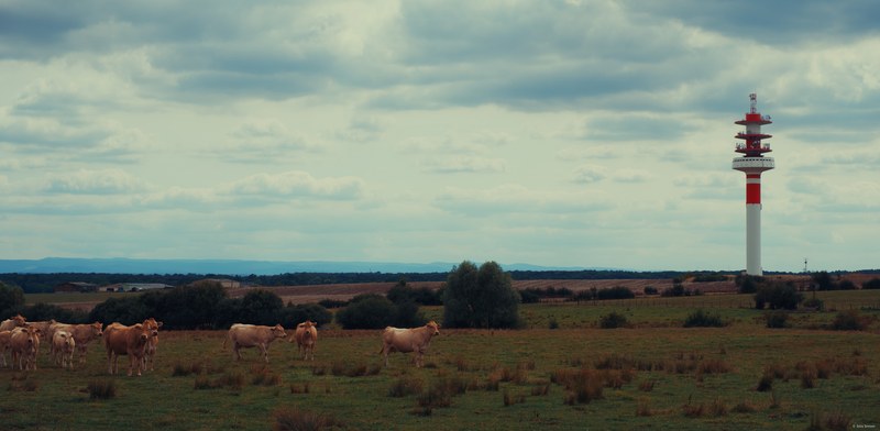 2025-08 Rhodes - DSC06788