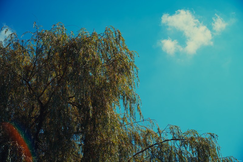 2025-08 Rhodes - DSC07126