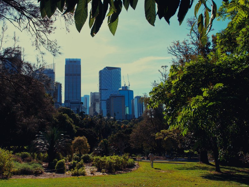 2025-11 Australia - DSC07347