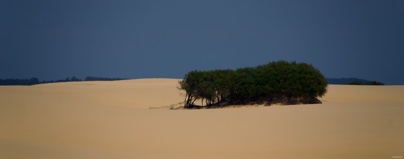 2025-11 Australia - DSC07372