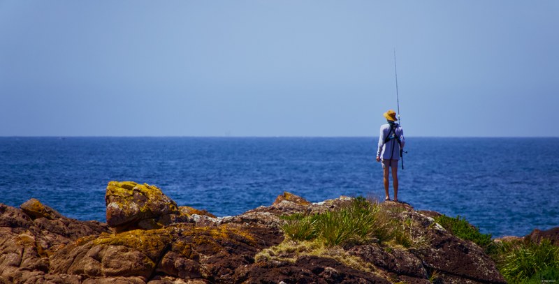 2025-11 Australia - DSC07417