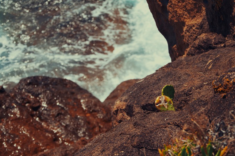 2025-11 Australia - DSC07421