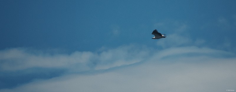 2025-11 Australia - DSC07435