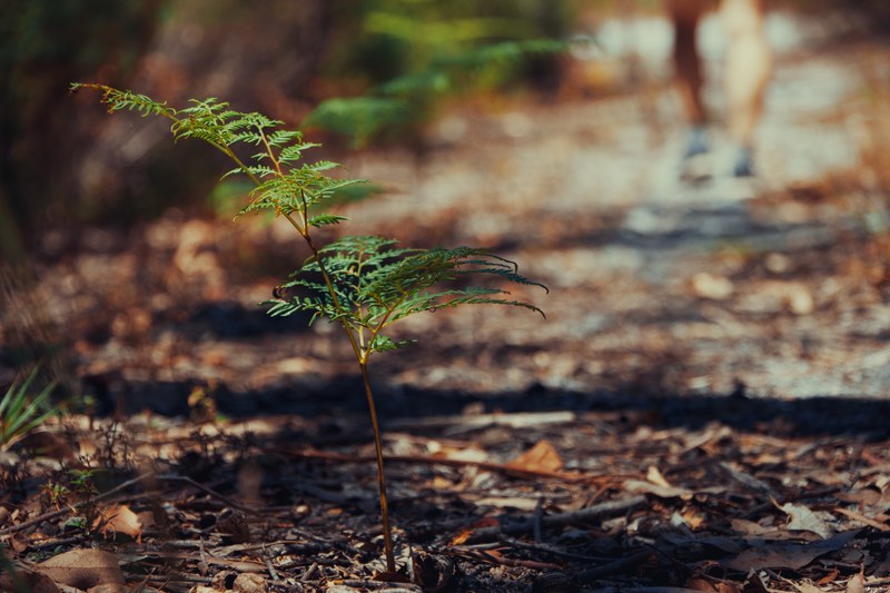 2025-11 Australia - DSC07798