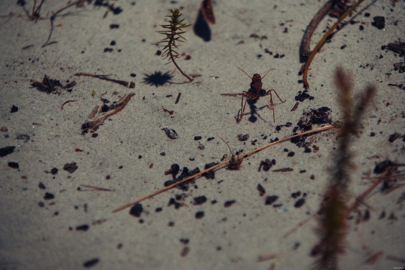 2025-11 Australia - DSC07810