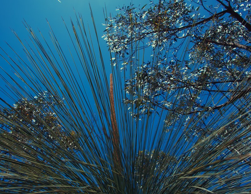 2025-11 Australia - DSC07814