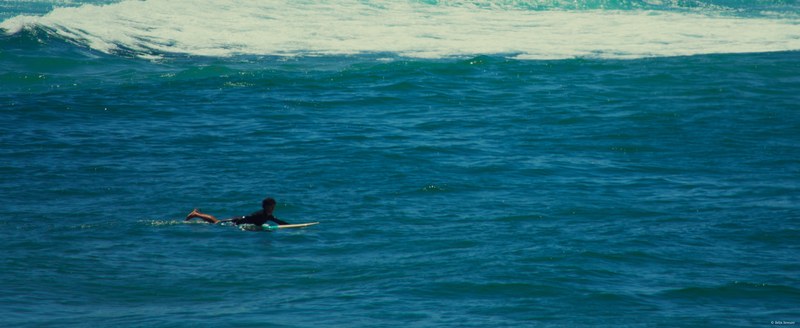 2025-11 Australia - DSC07833