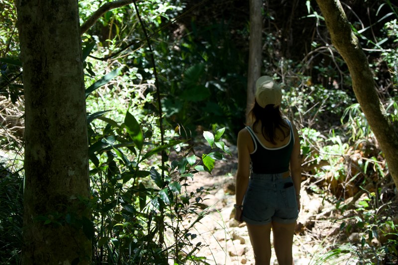 2025-11 Australia - DSC07860