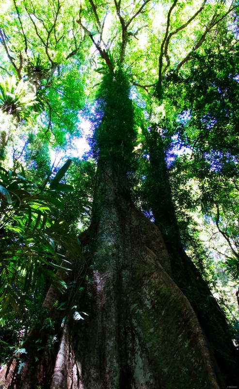 2025-11 Australia - DSC07888