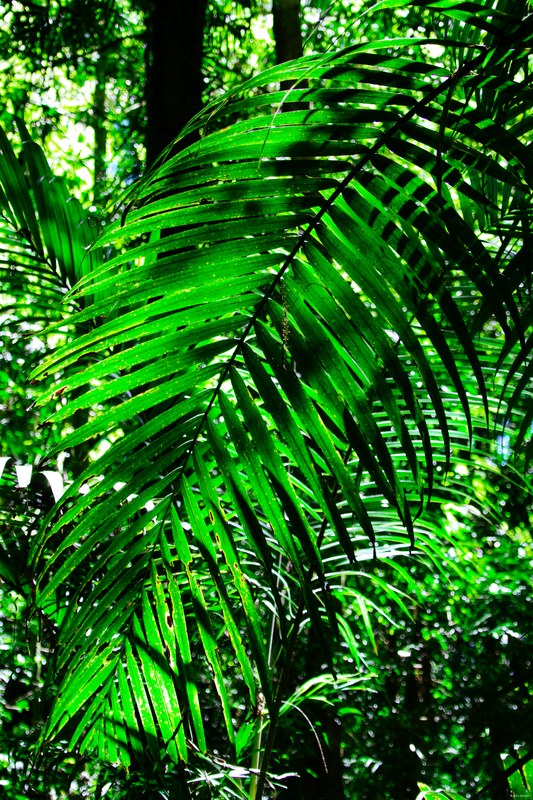 2025-11 Australia - DSC07902