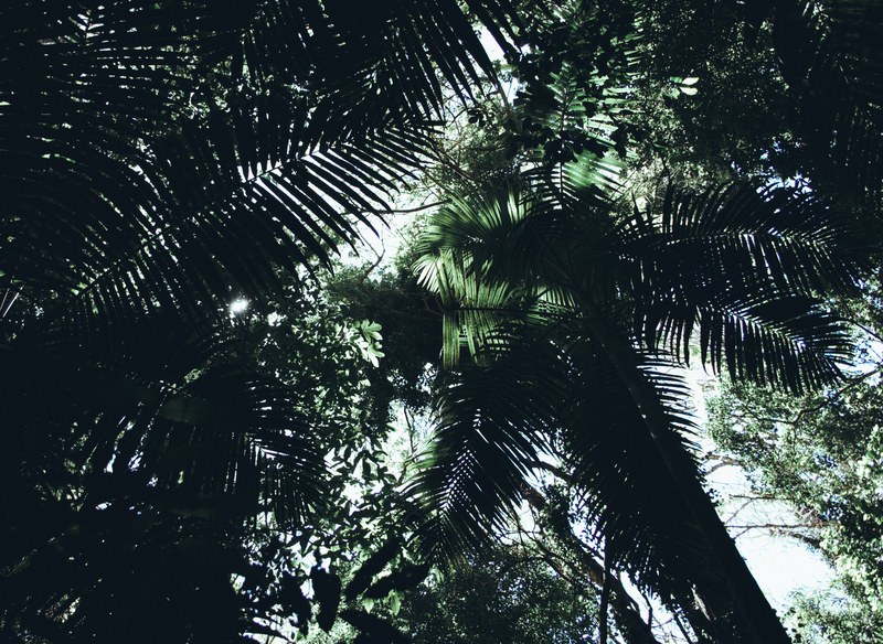 2025-11 Australia - DSC07909