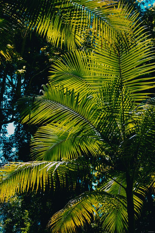 2025-11 Australia - DSC07987