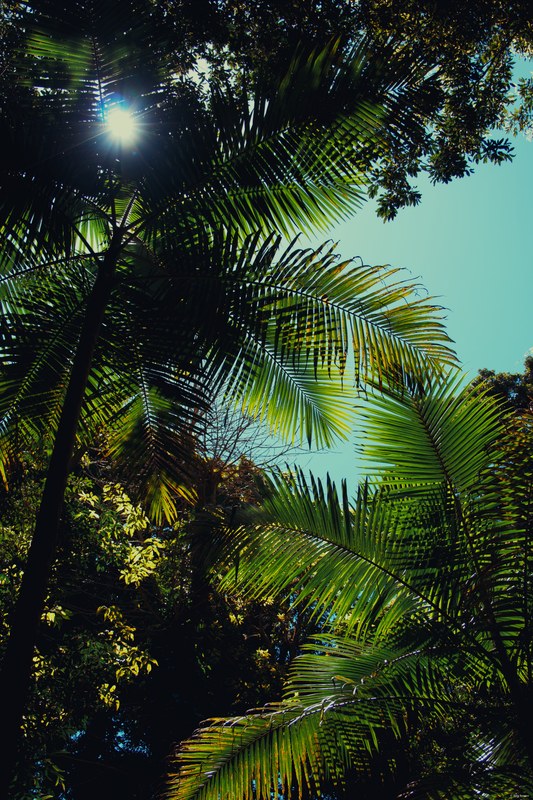 2025-11 Australia - DSC07992