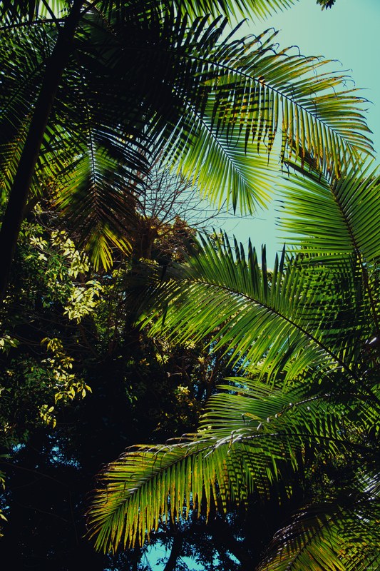 2025-11 Australia - DSC07993