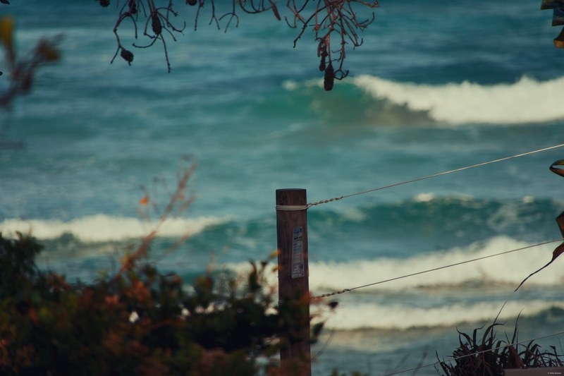 2025-11 Australia - DSC08000