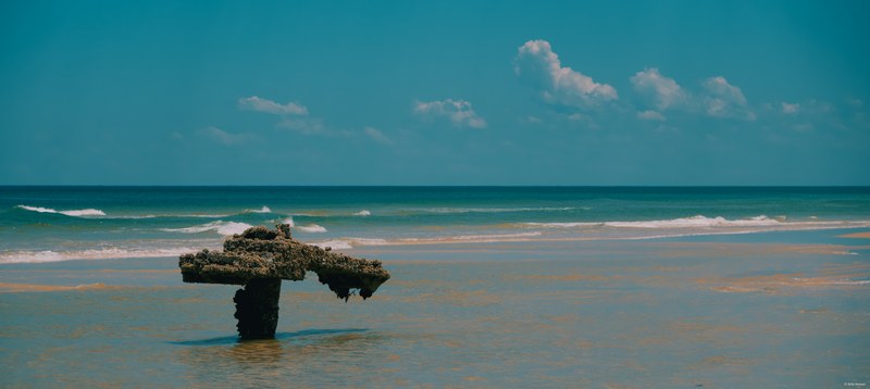 2025-11 Australia - DSC08063