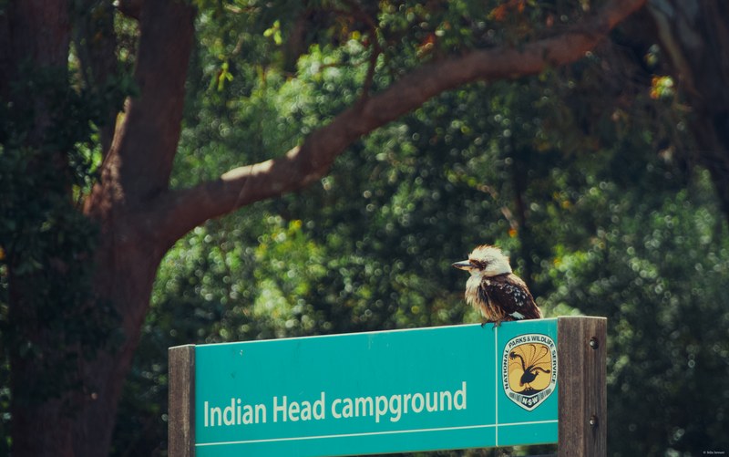 2025-11 Australia - DSC08723