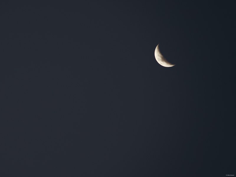 2025-11 Australia - DSC08933