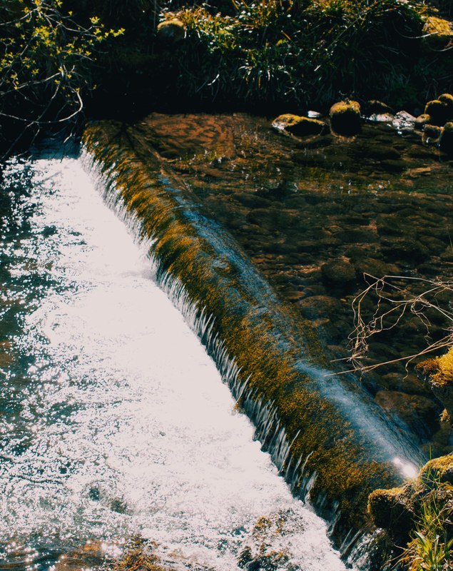 2025 Random - DSC06527