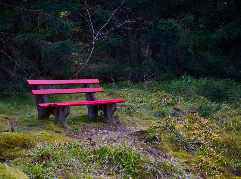 2025 Random - DSC06537