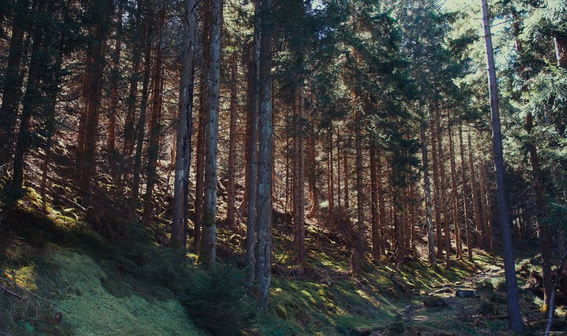 2025 Random - DSC06549