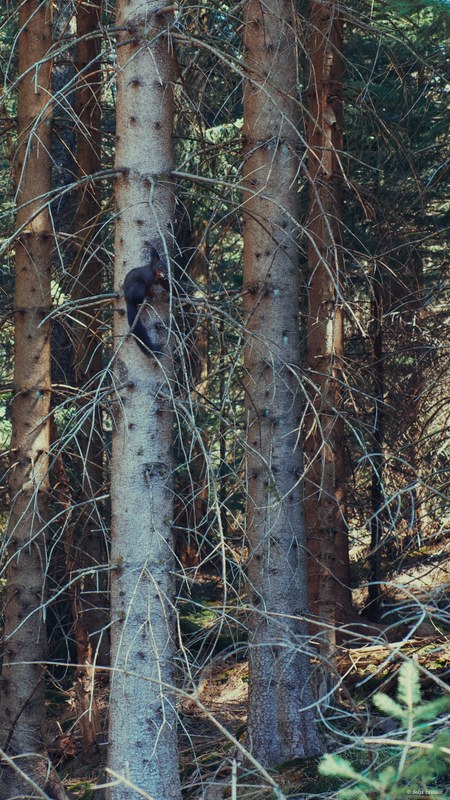 2025 Random - DSC06556