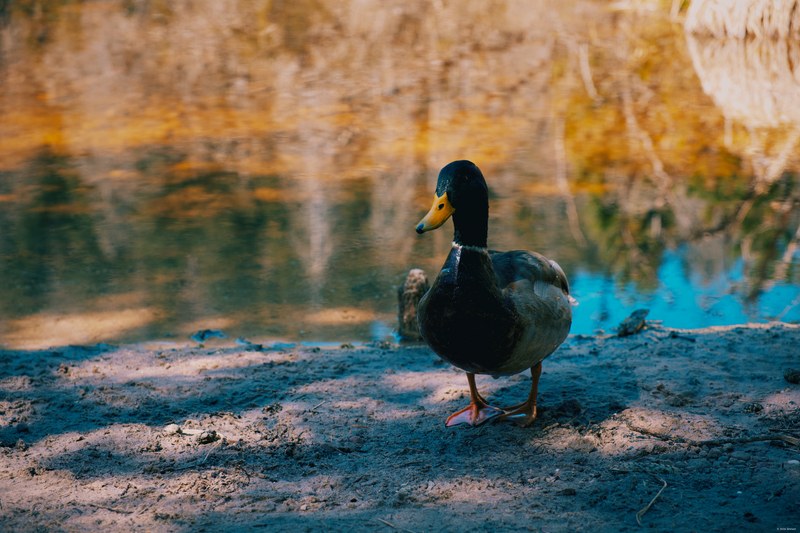 2025 Random - DSC06574